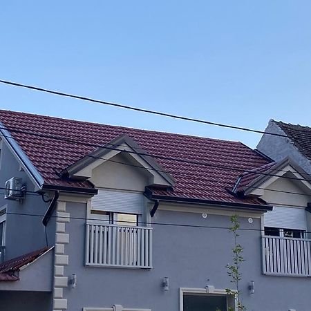 Appartamento Vila Lena Bela Crkva  Esterno foto